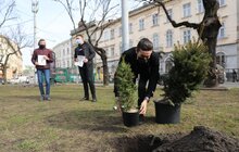 Фото 17: В рамках міжнародного проєкту «Озеленення планети» на площі Соборній висадили перші дерева