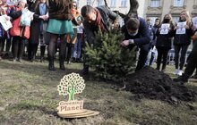 Фото 18: В рамках міжнародного проєкту «Озеленення планети» на площі Соборній висадили перші дерева