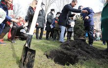 Фото 22: В рамках міжнародного проєкту «Озеленення планети» на площі Соборній висадили перші дерева