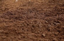 Фото 4: У парку «700-річчя Львова» продовжують посипати доріжки кавовою гущею для боротьби з ожеледицею