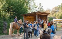 Фото 41: Міжнародний день музеїв у Львові відвідали майже 13 тисяч осіб