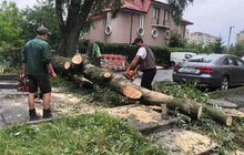 Фото 1: У Львові ліквідовують наслідки негоди