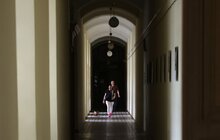 Фото 7: Візьми собаку на роботу: працівники мерії Львова прийшли на роботу із чотирилапими (відео)