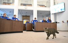 Фото 5: До Львівської мерії завітали понад 130 юних талановитих українців, які не були вдома від початку повномасштабної війни