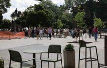 Фото 3: На площі Галицькій висадили нові дерева