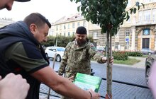 Фото 14: 41 нове дерево висаджують у центральній частині Львова: завдяки спонсорам зможуть закупити 50 дронів
