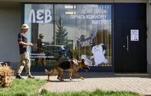 Фото 9: ЛКП «Лев» стає міським центром із комплексної допомоги для безпритульних та домашніх тварин (фото/​відео)