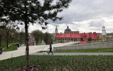 Фото 10: Львів розквітне рекордно: 165 тисяч тюльпанів і понад 5 тисяч дерев та кущів — місто готує найяскравішу весну за останні роки