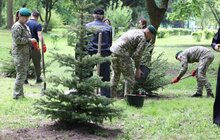 Фото 11: У Стрийському парку висадили 35 дерев у пам’ять про прикордонників, які віддали своє життя боротьбі за незалежність України