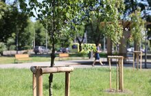 Фото 3: У сквері, поруч з Центром допомоги людям, які пережили полон і тортури, облаштували затишний громадський простір