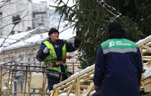 Фото 3: Головну ялинку Львова відвезли на компостування (відео)