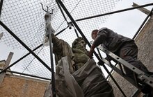 Фото 2: Що з Нептуном? У Львові перевіряють скульптури, які на початку повномасштабної війни захистили від вибухів (відео)