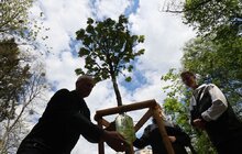 Фото 10: Алея пам'яті Героїв: у львівському парку родичі загиблих військових висадили дерева пам'яті