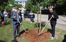 Фото 10: В одному з найбільших міст Хорватії відкрили Львівський парк