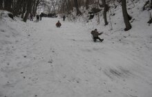 Фото 1: У Львові відбулася першість УДЮМК Шевченківського району зі спуску на санка
