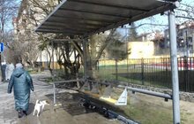 Фото 17: Комунальні служби дезінфікують місто: миють вулиці, тротуари, зупинки транспорту, сходові клітки будинків