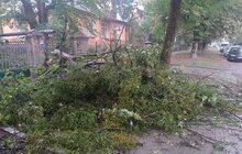 Фото 11: У Львові оперативно ліквідовують наслідки негоди: повалені дерева, обірвані мережі та зміни в русі транспорту (відео)