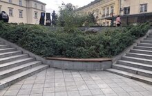 Фото 2: Санітарна обрізка, догляд та пересадка рослин: на площі Митній упорядкували клумби