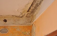 Фото 5: Виявлено порушення при використанні парком «Знесіння» коштів та майна