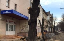 Фото 15: «В підсумку, дерев стане більше, а заміні підлягає трохи більше 40% озеленення вулиці», — О. Сладкова про роботи на вул. Пекарській