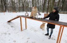 Фото 17: У Львові облаштували ще один тренувально-вигульний майданчик для собак
