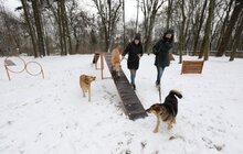 Фото 19: У Львові облаштували ще один тренувально-вигульний майданчик для собак