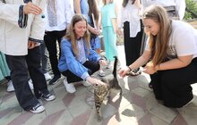 Фото 15: Учням, які отримали 600 балів на цьогорічному тестуванні, виплатять по 15 тисяч гривень