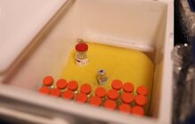 Фото 9: Всі охочі мають змогу прийти на вакцинацію в міську Ратушу