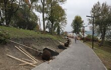 Фото 3: У Львові висадили 96 іменних дерев, присвячених загиблим Героям