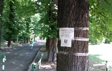 Фото 2: Дітям з соціально вразливих сімей подарували радість