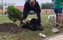 Фото 13: Біля ЛКП «Лев» облаштували перший в Україні сенсорний сад для собак