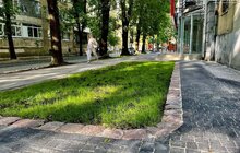 Фото 3: Більше комфорту, доступності та зелені, без сходинок і калюж: у Львові оновили тротуар на вул. Івасюка