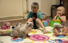 Фото 6: У Львові для переселенців та врятованих ними котів влаштували фотосесію