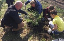 Фото 3: Сьогодні Львів прибирають в рамках акції «З нами місто розквітає»