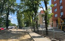 Фото 4: На вул. Липинського, 56 забудовника зобов’язали розчистити стовбури дерев і огородити їх