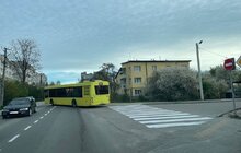 Фото 3: На вулицях Львова поновлюють дорожню розмітку