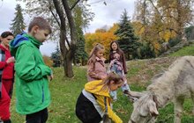 Фото 1: Народні звичаї, гончарство і взаємодія з тваринами: школярів кличуть на щотижневі музейні зустрічі у Львівському скансені