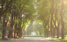 Фото 3: Підсумки конкурсу «Найкраща фотографія Львова»