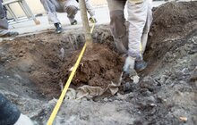 Фото 5: 432 дерева за 7 днів: весняний Львів озеленюють