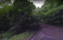 Фото 5: Сесія затвердила зміну меж Снопківського парку