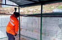 Фото 7: У Львові миють і ремонтують контейнери для відходів