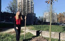 Фото 5: Цієї осені на території Сихівського району посадили 45 дерев та 94 кущі
