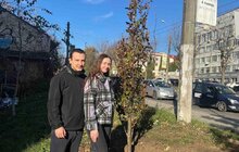 Фото 8: Цієї осені на території Сихівського району посадили 45 дерев та 94 кущі