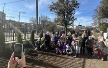 Фото 2: У шести школах та дитсадках Львова висадили дерева і кущі