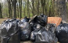 Фото 3: І прибрали, і гарно провели час: вимушено переміщені українці долучились до загальноміської толоки у Львові
