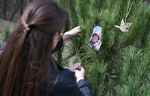 Фото 1: У Стрийському парку відкрили Пагорб пам’яті полеглих захисників