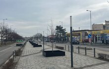 Фото 1: На вул. Чернівецькій встановили захисні огородження для дерев за прикладом Вільнюса