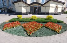 Фото 1: Сихів у квітах: на території району облаштовують квіткові композиції