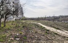 Фото 2: В рамках ініціативи «Я допомагаю місту» до прибирання сьогодні долучилось 20 волонтерів