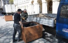 Фото 16: На вул. Л. Українки відремонтували тротуар та висаджують клени